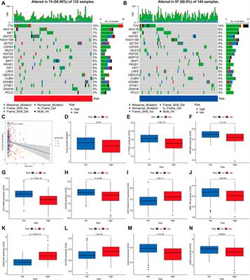 Cuproptosis patterns in papillary renal cell carcinoma are characterized by distinct tumor microenvironment infiltration landscapes